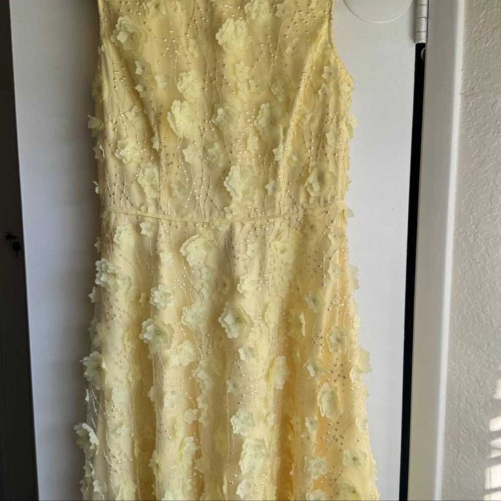 Alex Marie Lindsey Floral Embroidered Mesh Hi-Low Midi Dress EUC Size 8.
